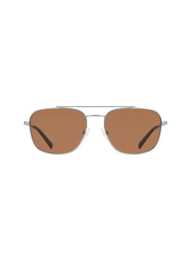Aviators Sunglasses