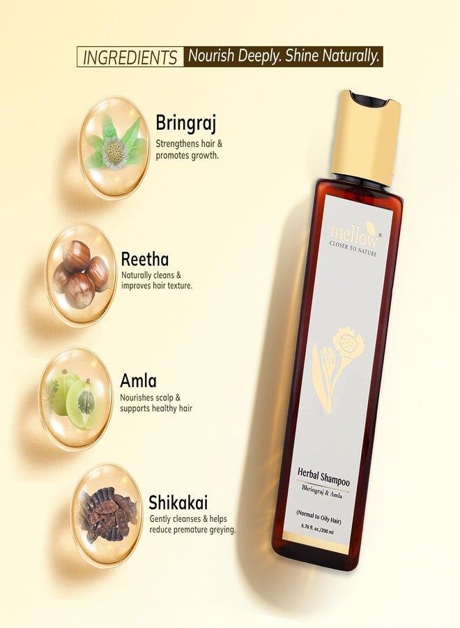 Mellow Herbal Bhringraj Shampoo For Normal To Oily Hair (100 ml) | Amla, Reetha, Shikakai & Bhringraj | Helps to balance scalp PH, Anti dandruff | Ayush Certified | 100% chemical-free - Image 2