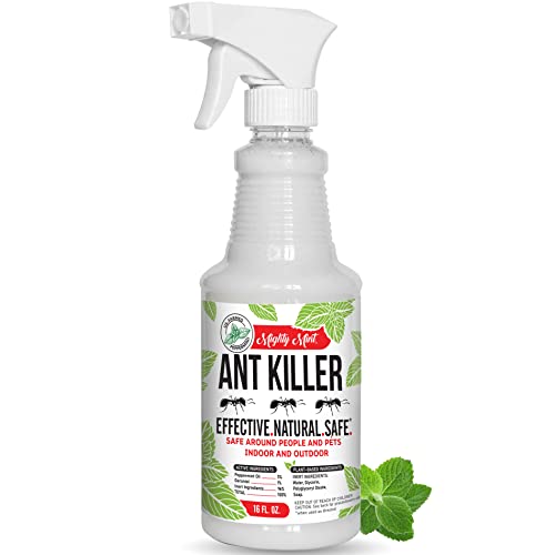 Mighty Mint Peppermint Oil Ant Killer Spray – Natural Ant Repellent for Indoor & Outdoor Use – Plant-Based Insect & Pest Control – 16 oz - Image 1