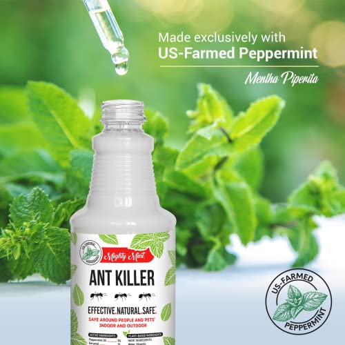 Mighty Mint Peppermint Oil Ant Killer Spray – Natural Ant Repellent for Indoor & Outdoor Use – Plant-Based Insect & Pest Control – 16 oz - Image 5