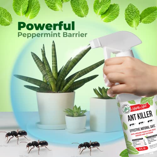 Mighty Mint Peppermint Oil Ant Killer Spray – Natural Ant Repellent for Indoor & Outdoor Use – Plant-Based Insect & Pest Control – 16 oz - Image 2