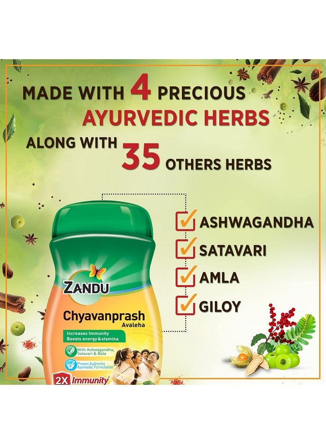 Zandu زاندو شيفانابراش أفالهة لزيادة المناعة والقدرة على التحمل، 900 جرام - Image 4