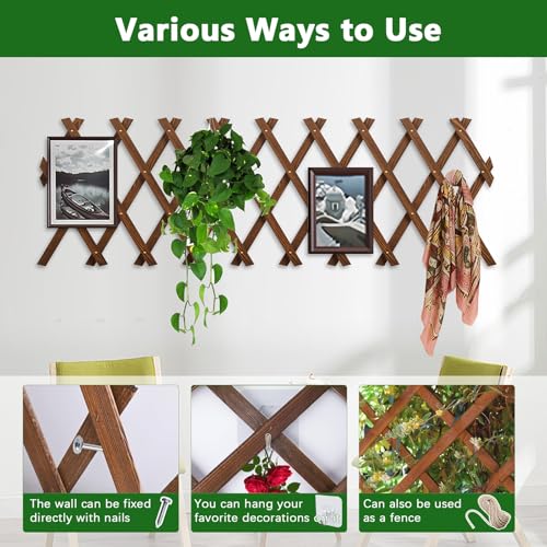 Tilinyan & one Expandable Garden Trellis, 13.1" x 67" Trellis for Climbing Plants Outdoor, Wooden Lattice Fence Wall Panel Lattice Panels for Outside, for Climbing Plants Vine Ivy Rose Cucumbers Clematis（1PC） - Image 3