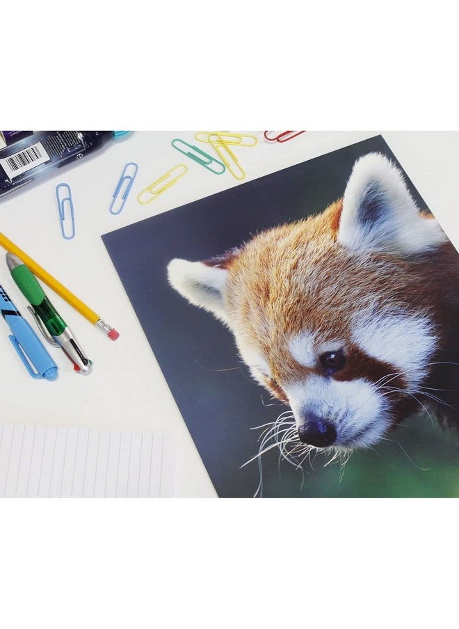 Blue Panda - Wild Animal File Folders With Pockets, School Supplies (9.5 X 12 In, 12 Pack) - Image 1