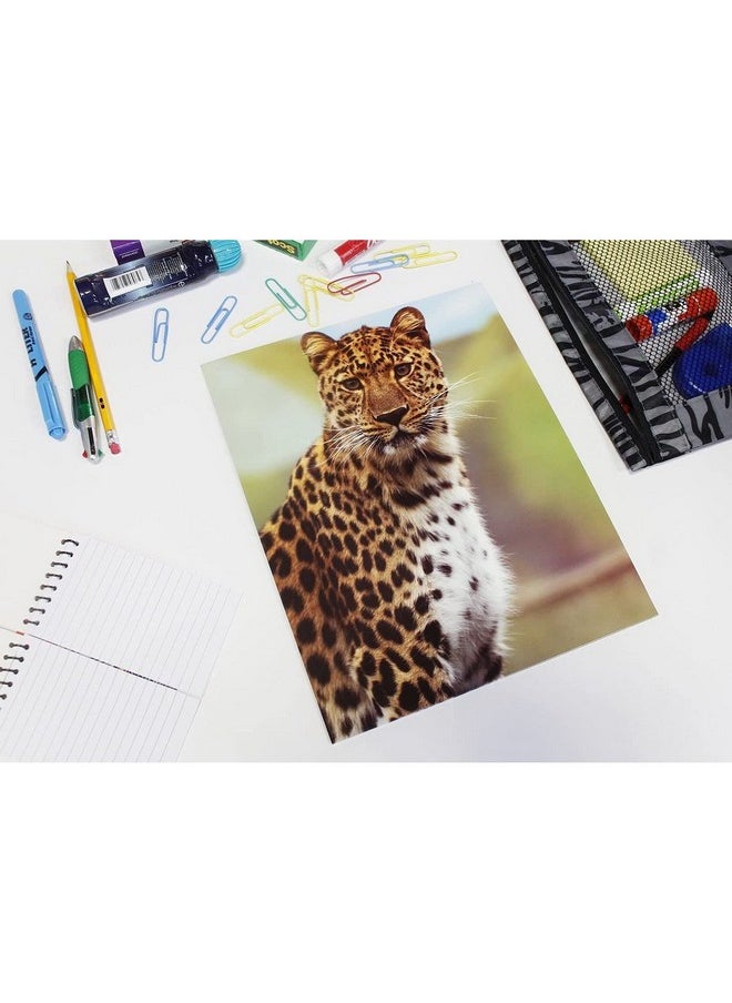 Blue Panda - Wild Animal File Folders With Pockets, School Supplies (9.5 X 12 In, 12 Pack) - Image 1
