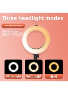 General Soft Light Lamp Professional Special Photography Indoor Mobile Phone Light Hand Light Lamp Main Beauty Live Skin Rejuvenation Shoot-Light Source Color:【vitality Fill Light】 Beauty Lamp + 2.1m Floor  - Image 5