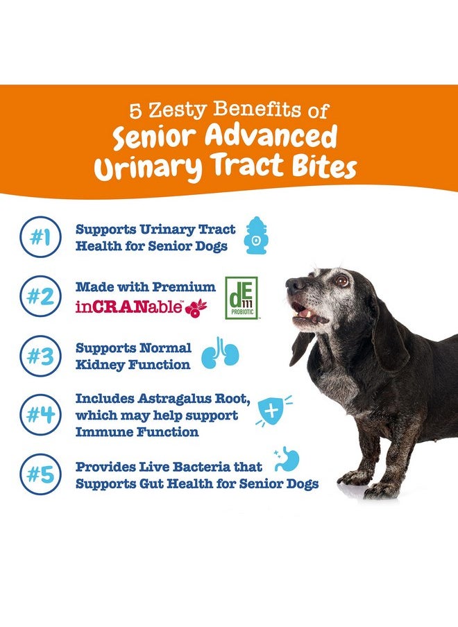 Zesty Paws Zesty Paws Senior Cranberry Supplement for Dogs - Bladder Bites for Dogs - Kidney & Urinary Tract for Dogs - Soft Chews with D-Mannose, Vitamin B6 & L-Arginine - Chicken - 90 Count  - Image 2