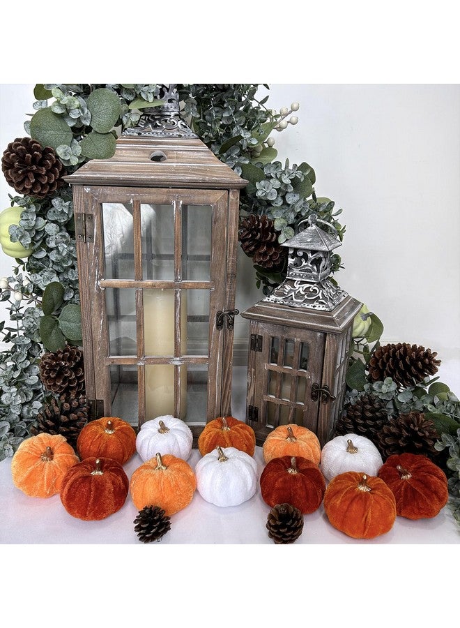 Winlyn وينلين 12 قطعة من اليقطين المزيف المخملي الصغير المتنوع باللون البرتقالي الصدئ والأبيض لتزيين حفلات الزفاف في الخريف والهالوين وعيد الشكر، مركز طاولة، مدفأة، ديكور مزرعة - Image 4