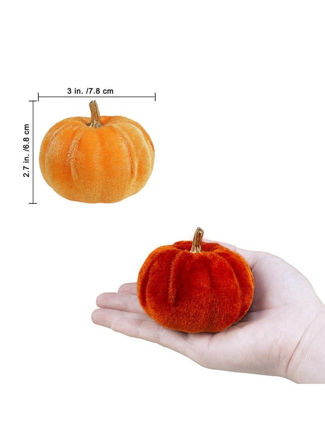 Winlyn وينلين 12 قطعة من اليقطين المزيف المخملي الصغير المتنوع باللون البرتقالي الصدئ والأبيض لتزيين حفلات الزفاف في الخريف والهالوين وعيد الشكر، مركز طاولة، مدفأة، ديكور مزرعة - Image 2