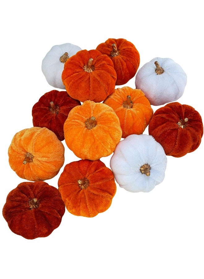 Winlyn وينلين 12 قطعة من اليقطين المزيف المخملي الصغير المتنوع باللون البرتقالي الصدئ والأبيض لتزيين حفلات الزفاف في الخريف والهالوين وعيد الشكر، مركز طاولة، مدفأة، ديكور مزرعة - Image 1