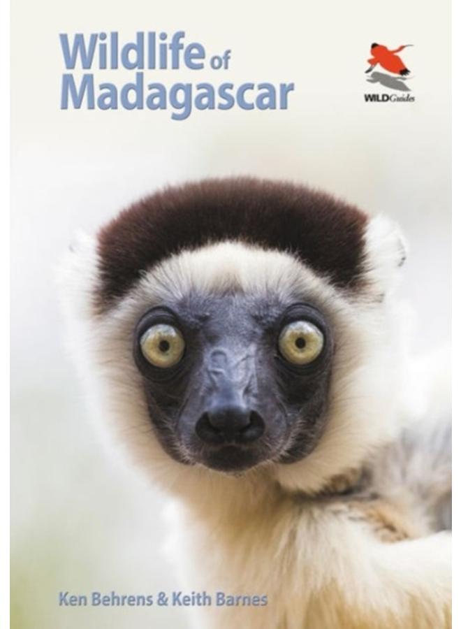 Wildlife of Madagascar 