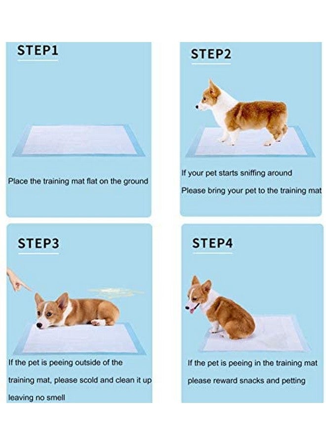 وسادات تدريب الكلاب/وسادات تدريب التبول والتبول مع سطح سريع الجفاف ولب ماص/مناسبة للجراء من السلالات الصغيرة/الكبيرة/الحجم: XL/L-60 سم × H- 90 سم (10 قطع) - Image 4