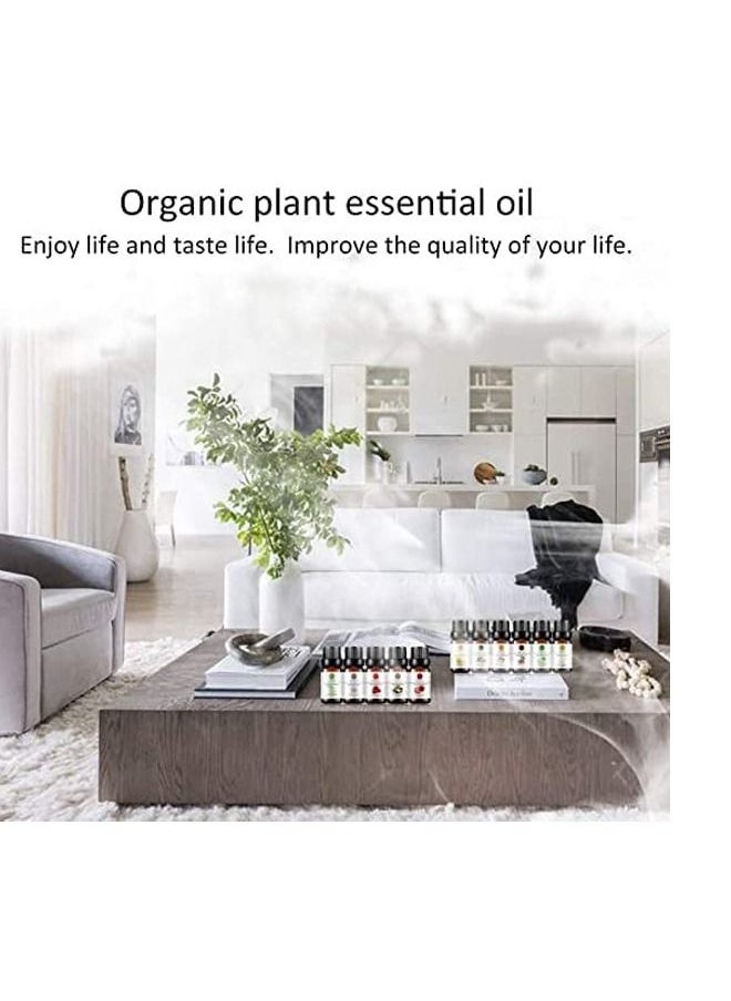 TYCOM - TYCOM essential Oil 6x10 mL Diffuser Oil Rose Lavender Chamomile   Lemon Mint & Deep Ocean - Image 1