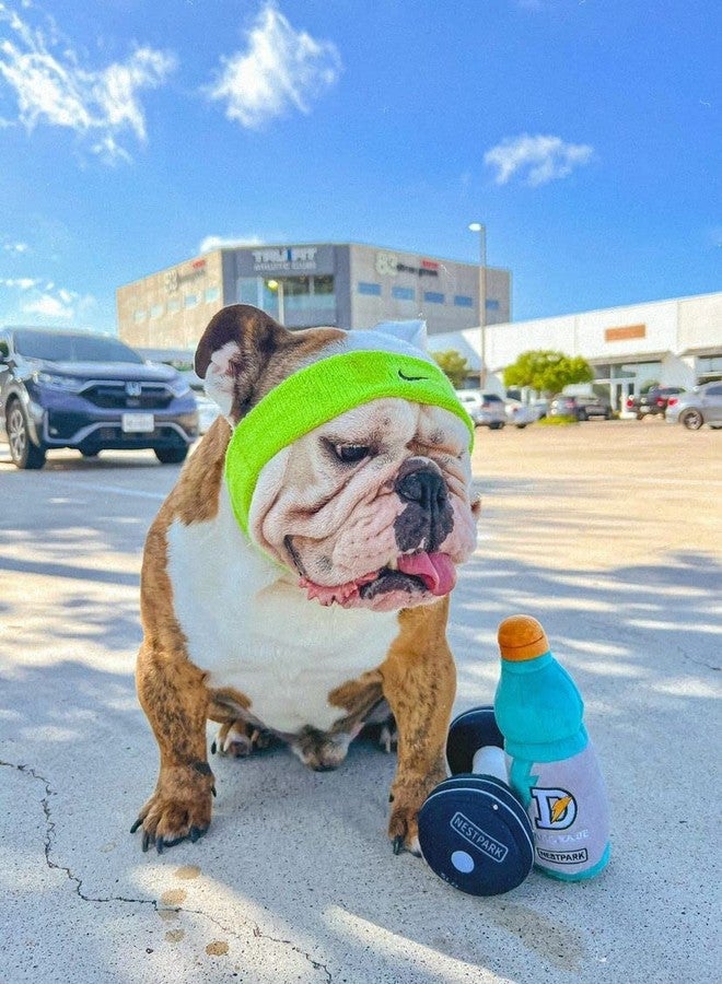 Nestpark Doggyade - Funny Dog Toys Fitness Workout Parody Cute Dog Toys (Doggyade) - Image 5