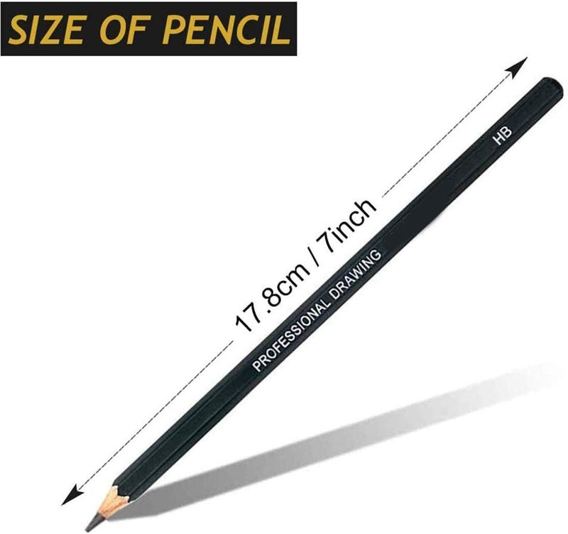 Delfino Drawing Pencils Set, Graphite Pencils Artist Sketching Set 12B 10B 8B 7B 6B 5B 4B 3B 2B B HB 2H 4H 6H Best Gift for Kids Adults Artists Student Beginners Professional, 14 PCS - Image 2