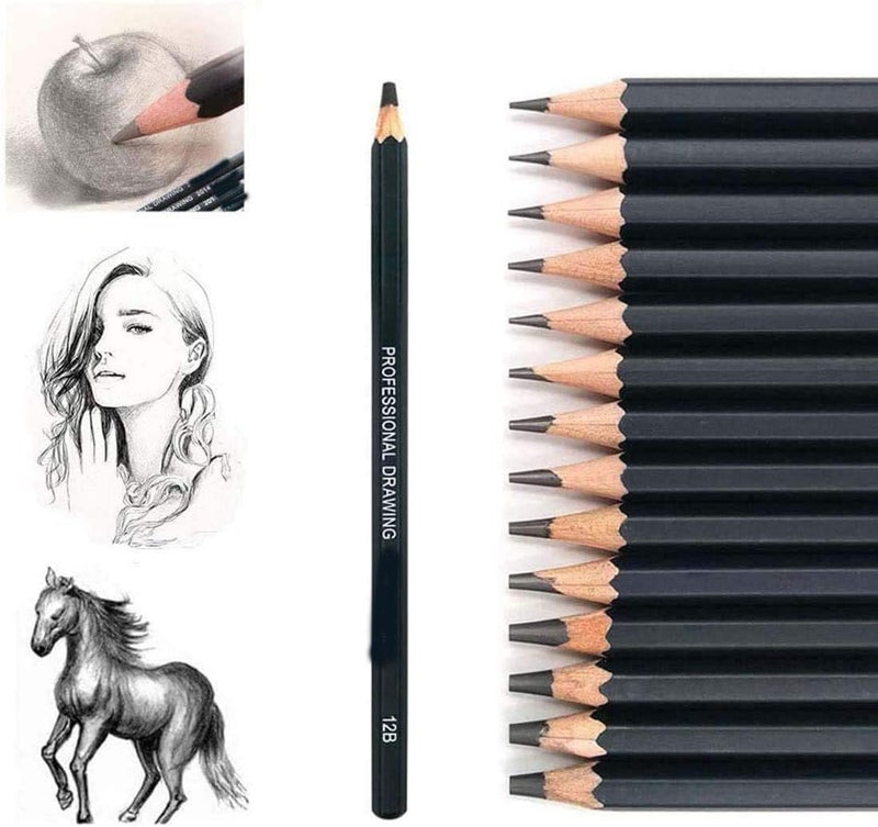 Delfino Drawing Pencils Set, Graphite Pencils Artist Sketching Set 12B 10B 8B 7B 6B 5B 4B 3B 2B B HB 2H 4H 6H Best Gift for Kids Adults Artists Student Beginners Professional, 14 PCS - Image 5