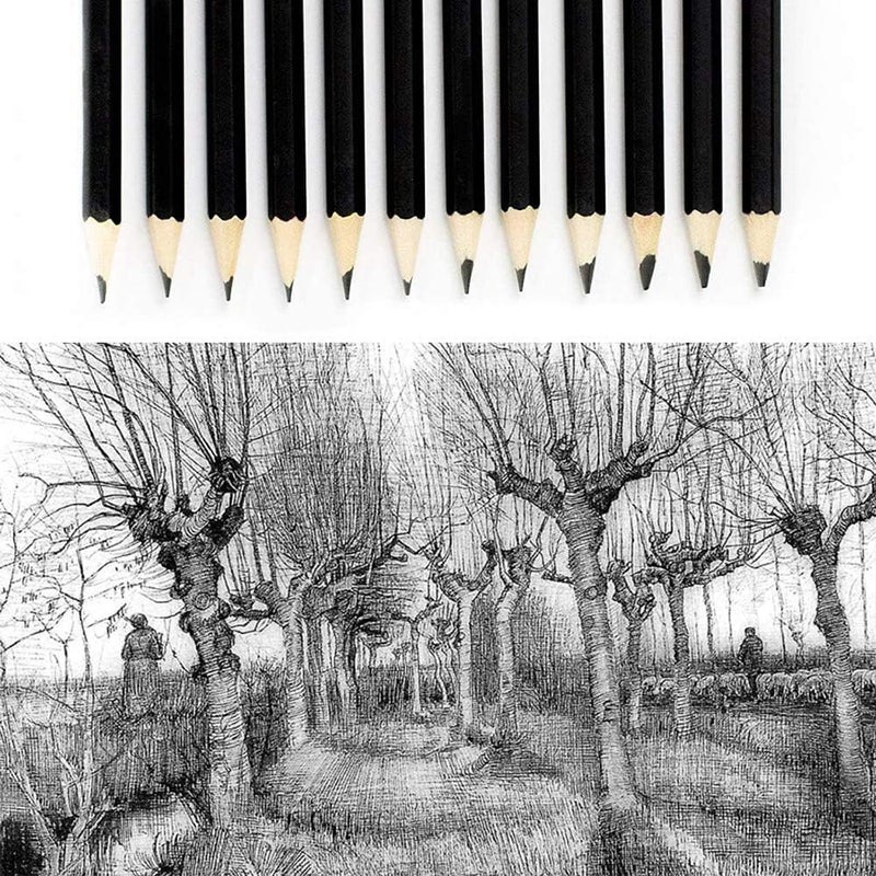 Delfino Drawing Pencils Set, Graphite Pencils Artist Sketching Set 12B 10B 8B 7B 6B 5B 4B 3B 2B B HB 2H 4H 6H Best Gift for Kids Adults Artists Student Beginners Professional, 14 PCS - Image 1