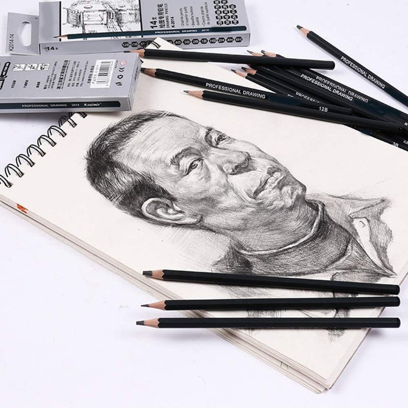 Delfino Drawing Pencils Set, Graphite Pencils Artist Sketching Set 12B 10B 8B 7B 6B 5B 4B 3B 2B B HB 2H 4H 6H Best Gift for Kids Adults Artists Student Beginners Professional, 14 PCS - Image 4