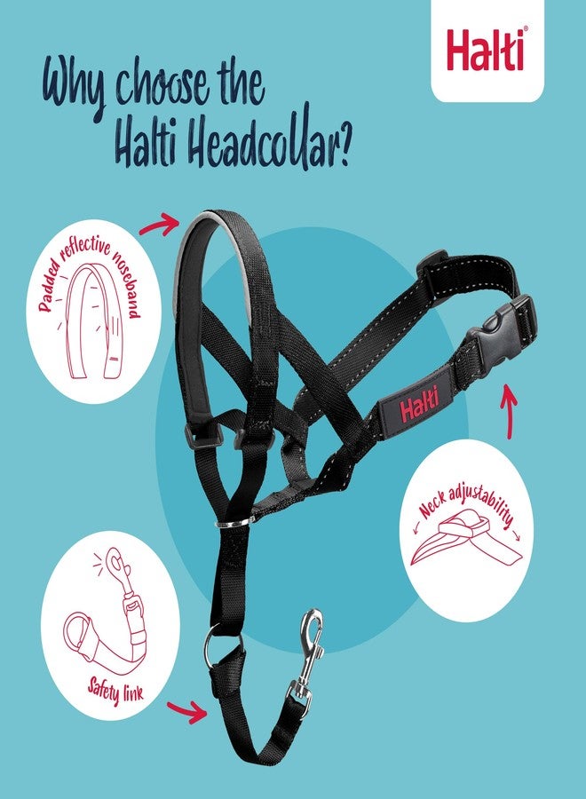 Halti Headcollar Size 4, Black & Halti Training Leash Size Large, Black Combination Pack - Stop Your Dog Pulling on the Leash. Adjustable, Lightweight with Padded Nose Band. Suitable for Large Dogs - Image 3