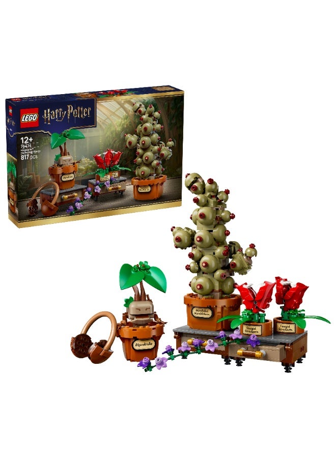 LEGO Harry Potter Hogwarts Herbology Plants Model Kit 76474 (Age 12+, 817 Pieces) - Image 1