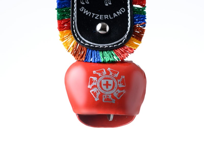 Tej Gifts Swiss Cow Bell – Metal Vastu Bell, DDLJ Style Hanging Bell Key Chain, Car & Door Hanging, Religious Wall Décor & Good Luck Gift (Size 4 = 6 cm x 3.5 cm x 15 cm) - Image 4