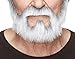 Mustaches Self Adhesive Fake Beard Novelty On Bail False Facial Costume Accessory for Adults Gray with White Color - Image 3