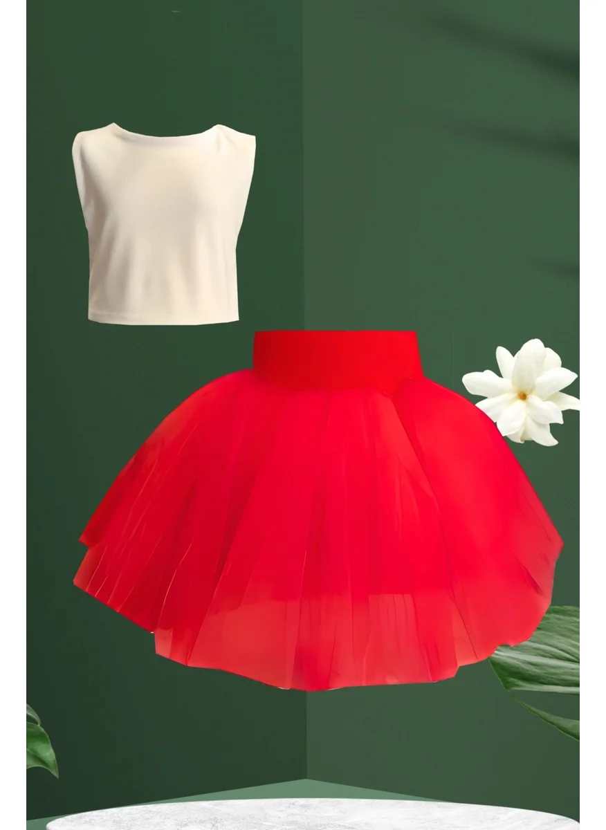 Shecco Babba Girl Tutu Skirt - Crop Blouse Set, Birthday Dress