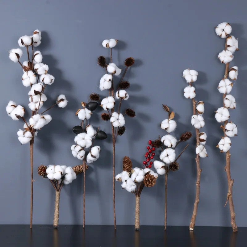 Bluejw Naturally Dried Cotton Flowers – Real Dried Plants for DIY Wedding Bouquets, Home Decor, Rustic Floral Arrangements & Party Centerpieces - Image 3