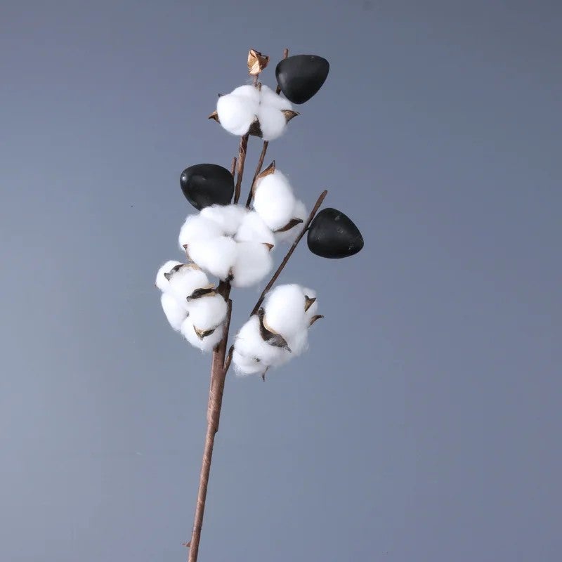 Bluejw Naturally Dried Cotton Flowers – Real Dried Plants for DIY Wedding Bouquets, Home Decor, Rustic Floral Arrangements & Party Centerpieces - Image 1
