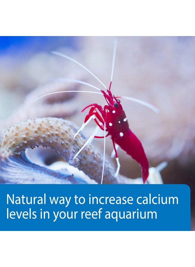 ايه بي آي محلول كالسيوم API MARINE CALCIUM لحوض الشعاب المرجانية، زجاجة سعة 16 أونصة  - Image 4