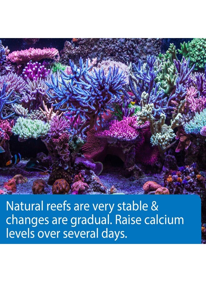 ايه بي آي محلول كالسيوم API MARINE CALCIUM لحوض الشعاب المرجانية، زجاجة سعة 16 أونصة  - Image 2