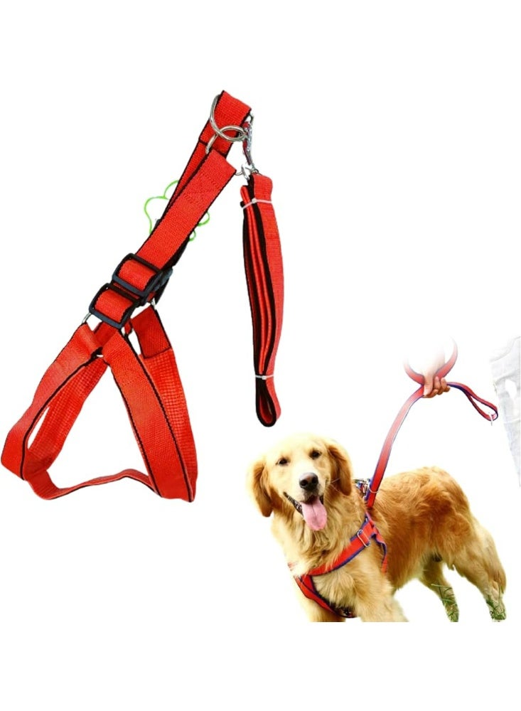 نونبيل طقم سرج ومقود للكلاب من نونبيل، تصميم قابل للتعديل، مقود بطول 2.5 × 120 سم، سرج بطول 45-80 سم، متوفر بـ 6 ألوان - Image 1