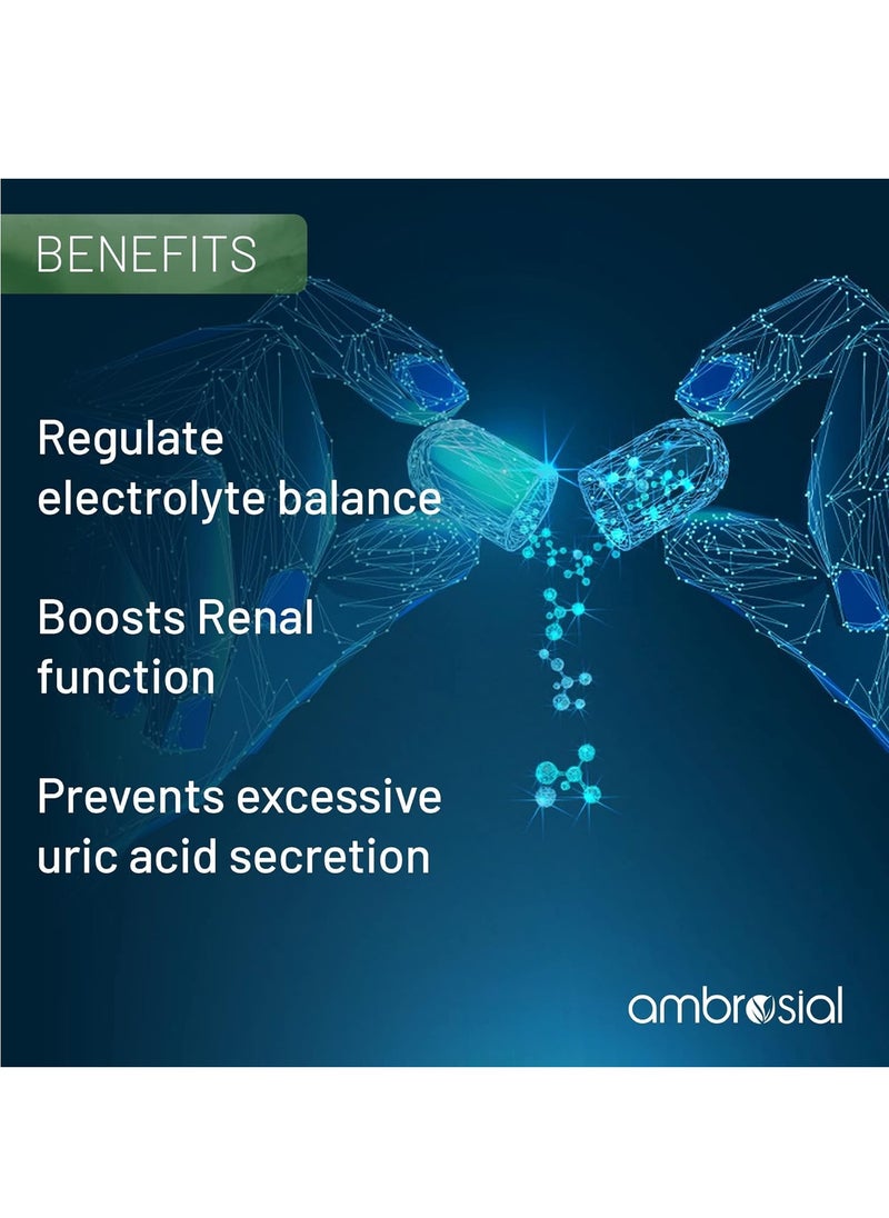ambrosial - Iodine 5000Mcg With 7500 Mcg Potassium Iodide High Strength Iodine Tablets- 60 Vegtablets - Image 1