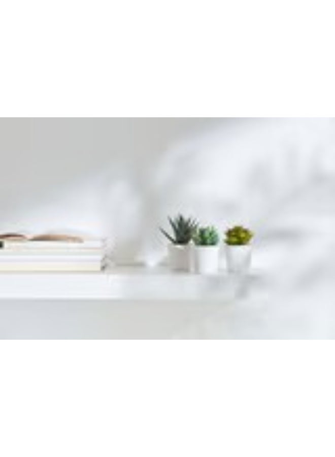 Artificial potted plant with pot in outdoor Succulent 6 cm 3 pack - Image 5