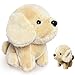 Kawaite Cute Dog Stuffed Animals for Girls and Boys Mini Kawaii Puppy Plushies Toy Puppy Plush Toys Kids Keychain Small Stuffed Animal for Kids and Toddlers Party Favors Classroom Prizes - Image 2