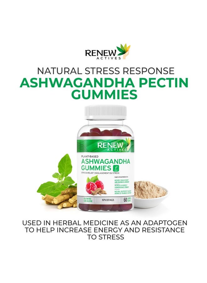 Renew Actives - Renew Actives Ashwagandha Gummies for Memory Enhancement & Energy Boost - Used as Rejuvenative Tonic for Health & Wellness- 60 Gummies - Image 1