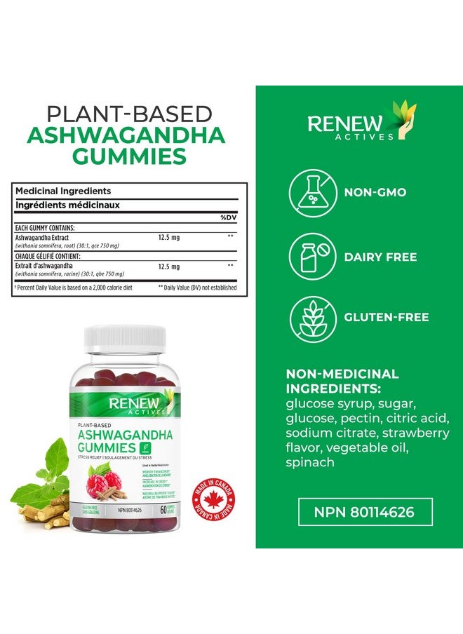 Renew Actives - Renew Actives Ashwagandha Gummies for Memory Enhancement & Energy Boost - Used as Rejuvenative Tonic for Health & Wellness- 60 Gummies - Image 1