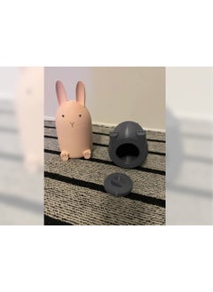 Internos Design Cute Piggy Bank Set of 2  - Image 1