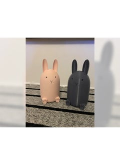 Internos Design Cute Piggy Bank Set of 2  - Image 2