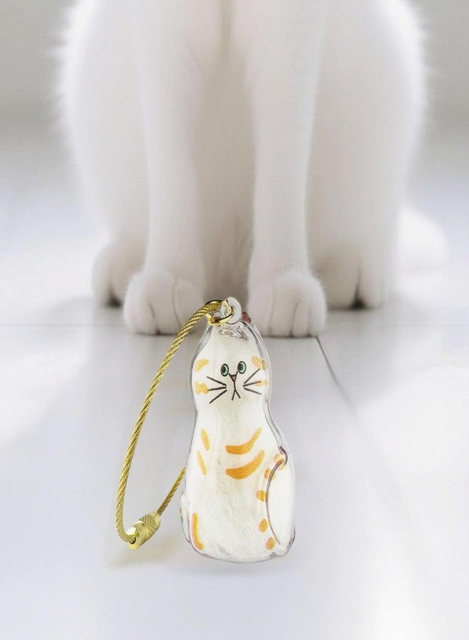 ZPSOX Cat Hair Keychain, 2Pcs Cat Hair Storage Bottle，Pet Fur Keepsake,Storage/Memorial Keychain,Cute Pet Memorial Gifts,[F Model] - Image 3