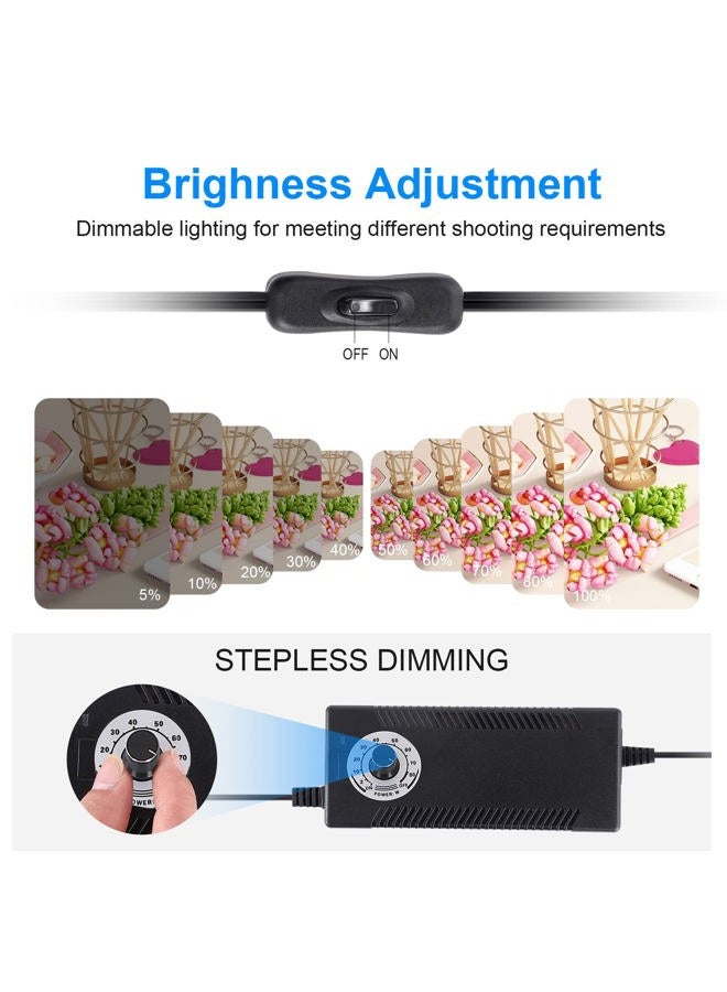 ZKEEZM Photo Studio Light Box Photography 32"x32" with 210 LEDs and 6 Colors Backdrops for Product Photography, Foldable Picture Box with Adjustable Brightness 6000-6500K - Image 2