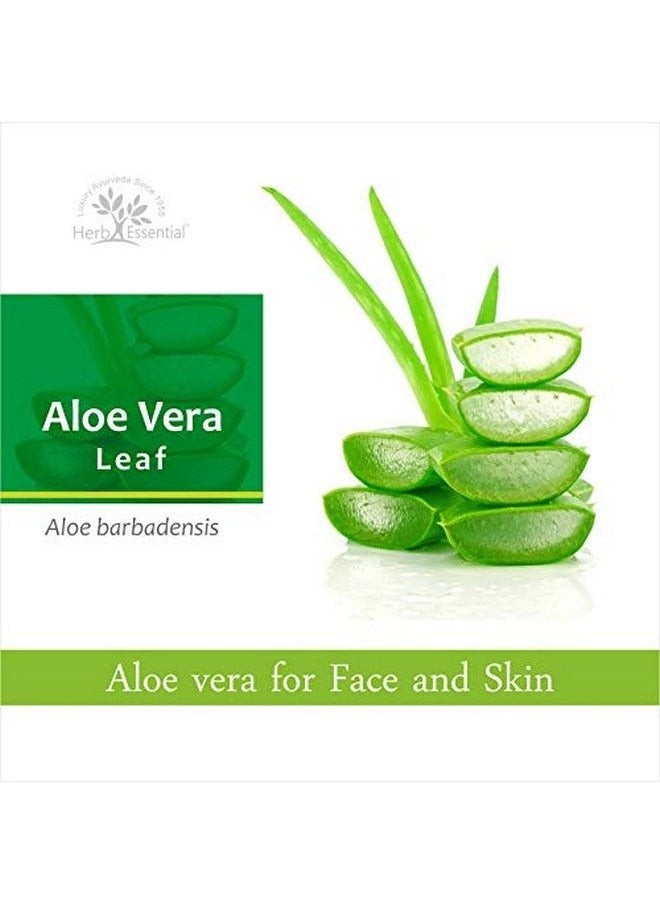 Herb Essential - Aloe Vera Powder For Face And Hair Care 200G (Food Grade) - Image 1