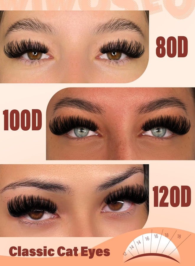wiwoseo Fluffy Lash Clusters Kit 80D 100D 120D Thick Eyelash Clusters 12-18MM 3D Volume Cluster Eyelash Extensions Kit D Curl Wispy Lashes Cluster 192pcs DIY Lash Extensions by wiwoseo - Image 2