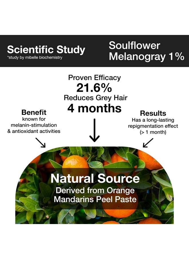 Soulflower - Rosemary Redensyl Hair Growth Serum 3% Redensyl, 4% Anagain, 1% Melanogray, Caffeine, Biotin, Keratin & Rice Water | Natural Alternative For Minoxidil |Pack Of 3-30Ml Each, 300 Grams - Image 1