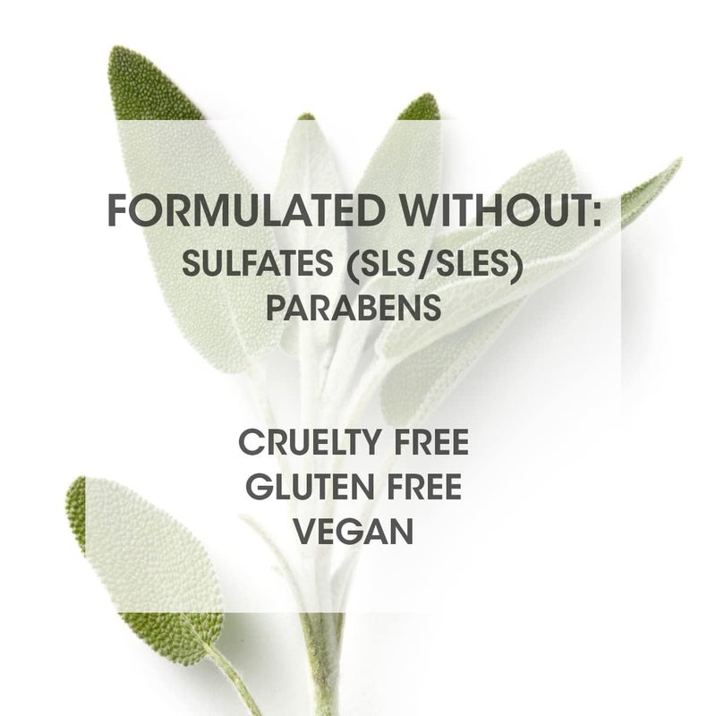 SEVEN Hair Care Gazar Hydrate Shampoo for Women & Men, Sulfate & Paraben Free, Cruelty Free with Pro Vitamin B5, Sugarcane + Moisturizing Cactus Flower for Dry Hair, Made in USA, 10.8oz - Image 5