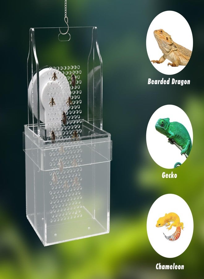 Neeenn Chameleon Feeding Bowl, Hanging/Mounted Translucent Acrylic Bearded Dragon Feeder with Grid Plate for Bugs Climbing and Move, Aquarium & Terrarium Accessories for Lizard Iguana - Image 5