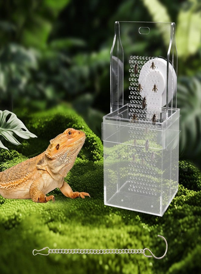 Neeenn Chameleon Feeding Bowl, Hanging/Mounted Translucent Acrylic Bearded Dragon Feeder with Grid Plate for Bugs Climbing and Move, Aquarium & Terrarium Accessories for Lizard Iguana - Image 1