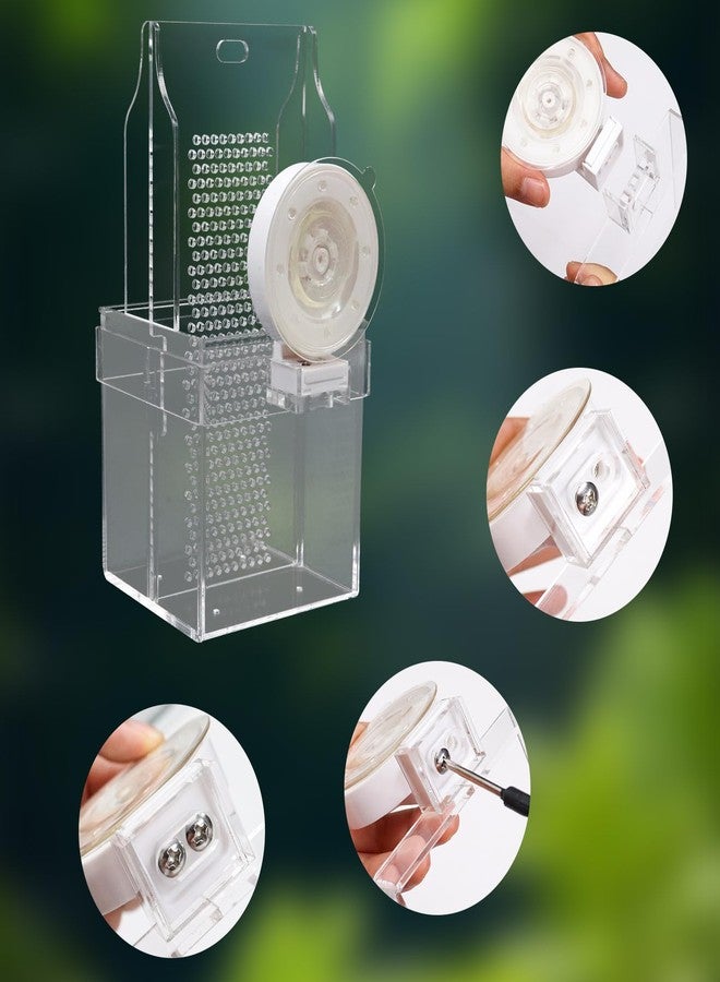 Neeenn Chameleon Feeding Bowl, Hanging/Mounted Translucent Acrylic Bearded Dragon Feeder with Grid Plate for Bugs Climbing and Move, Aquarium & Terrarium Accessories for Lizard Iguana - Image 4