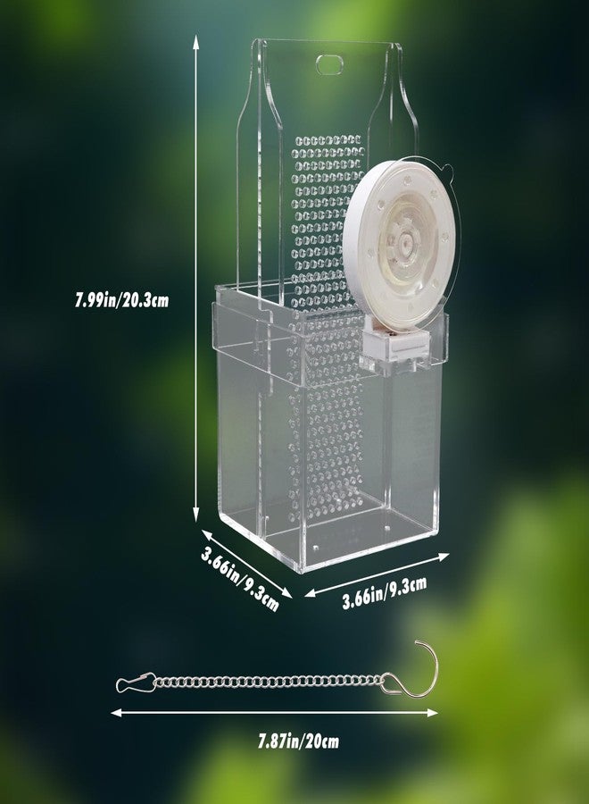 Neeenn Chameleon Feeding Bowl, Hanging/Mounted Translucent Acrylic Bearded Dragon Feeder with Grid Plate for Bugs Climbing and Move, Aquarium & Terrarium Accessories for Lizard Iguana - Image 3