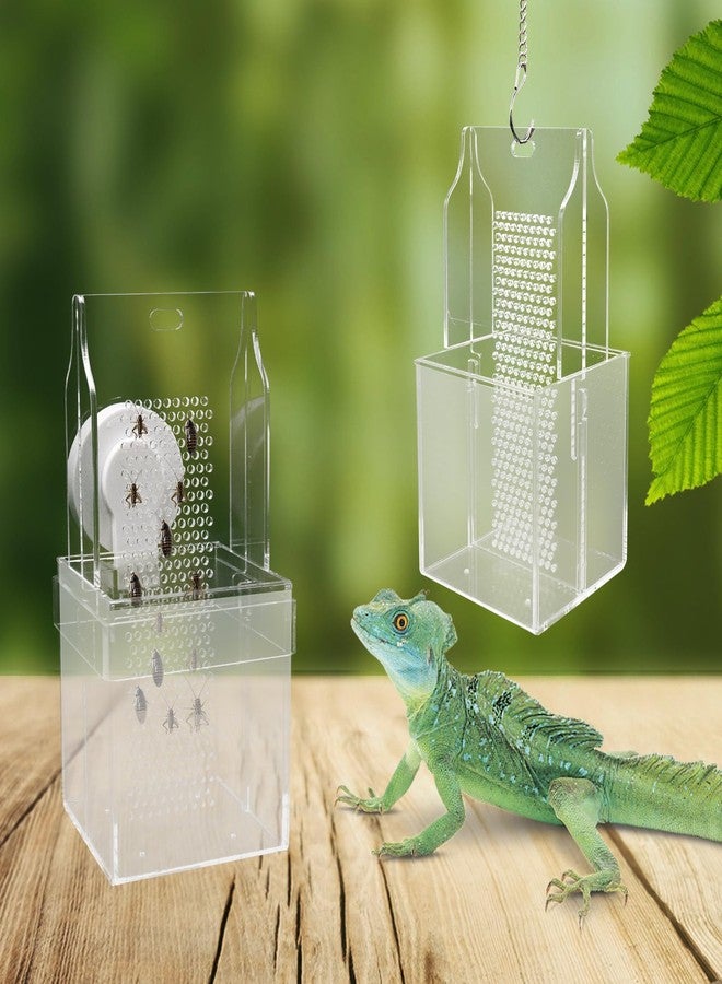 Neeenn Chameleon Feeding Bowl, Hanging/Mounted Translucent Acrylic Bearded Dragon Feeder with Grid Plate for Bugs Climbing and Move, Aquarium & Terrarium Accessories for Lizard Iguana - Image 2